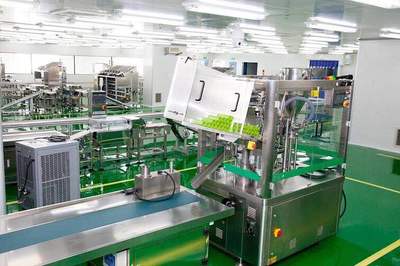 上海化妆品代加工厂的专业技术服务 从概念到成品的全方位支持