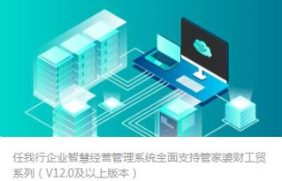 管家婆系列产品全面技术支持与下载服务